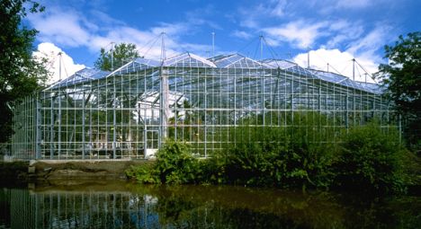 hortus%20botanical%20gardens%20amsterdam.jpg