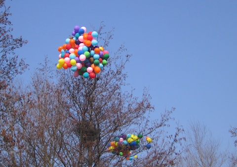 ballons in a tree.jpg