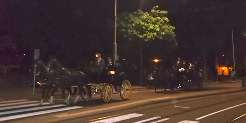 horse drawn carriages.png